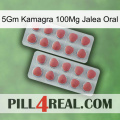 5Gm Kamagra 100Mg Oral Jelly 19